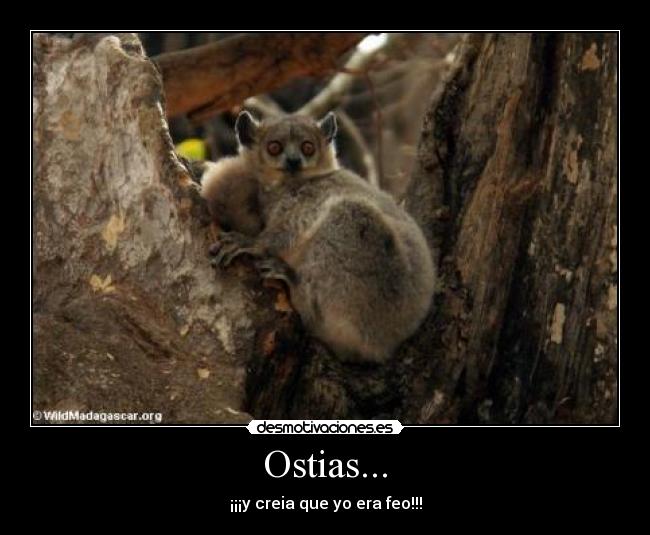 Ostias... - ¡¡¡y creia que yo era feo!!!