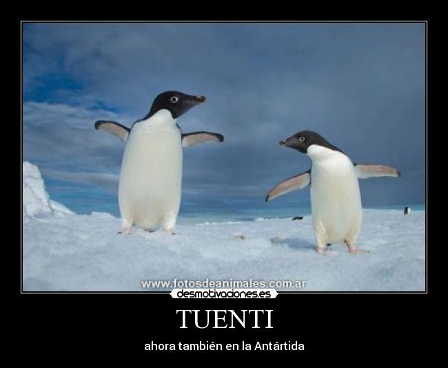 TUENTI - 