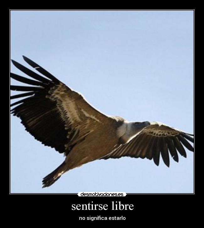 sentirse libre - no significa estarlo