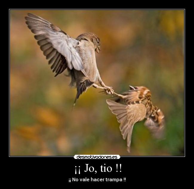 ¡¡ Jo, tio !! - ¡¡ No vale hacer trampa !!