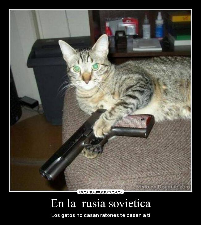 En la rusia sovietica - Los gatos no casan ratones te casan a ti