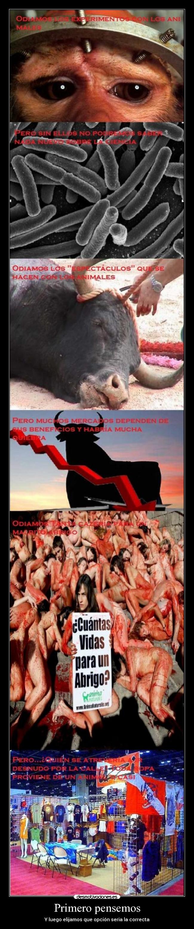 Primero pensemos - Y luego elijamos que opción seria la correcta