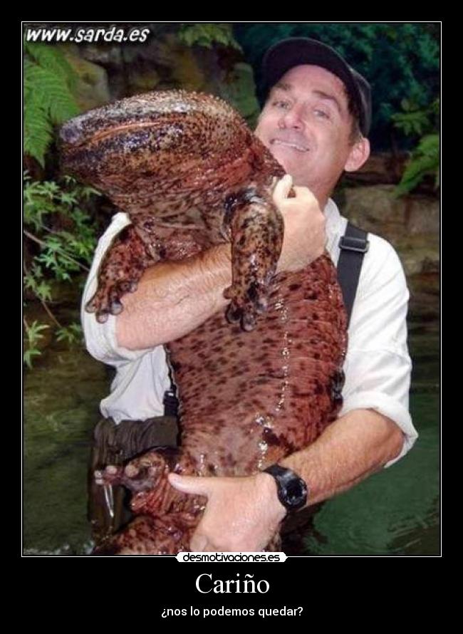 Cariño -