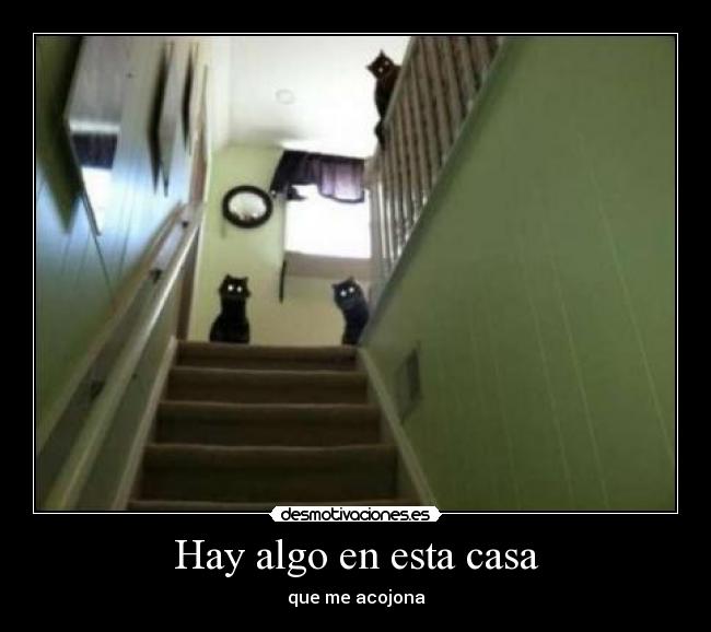 carteles casa walt-k desmotivaciones