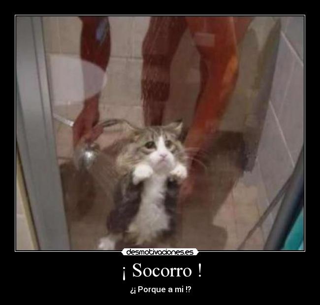 ¡ Socorro ! - 