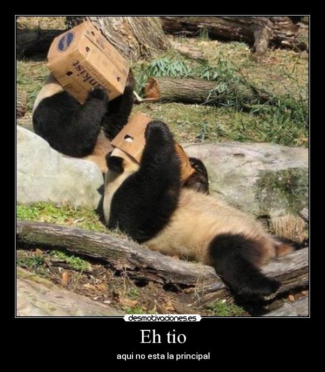 Eh tio - aqui no esta la principal