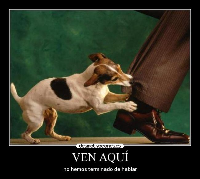 VEN AQUÍ - no hemos terminado de hablar