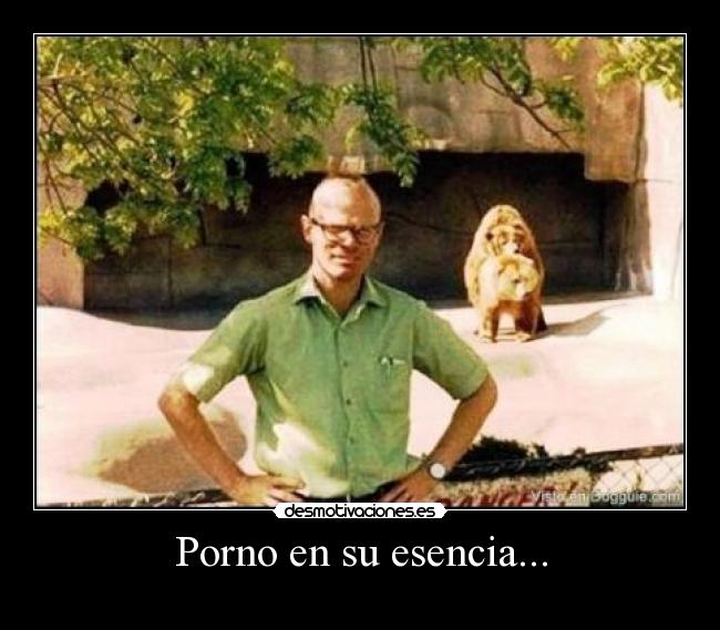 Porno en su esencia... - 