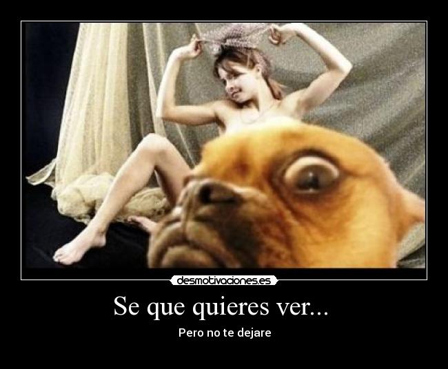 Se que quieres ver... - Pero no te dejare