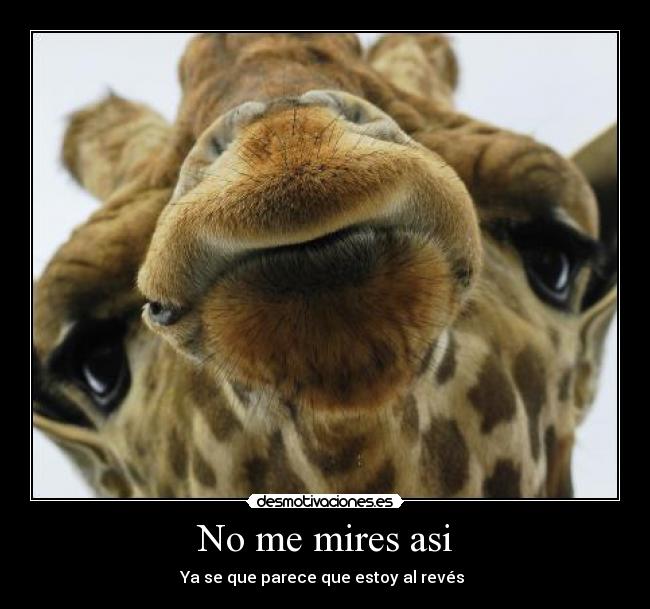 No me mires asi -