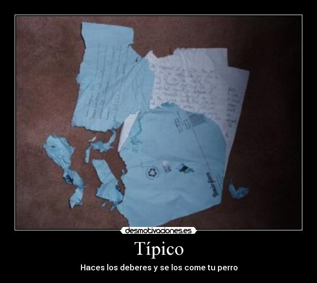 Típico - Haces los deberes y se los come tu perro
