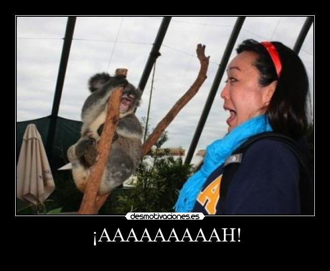 ¡AAAAAAAAAH! -