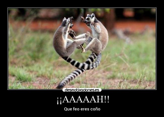 ¡¡AAAAAH!! - 