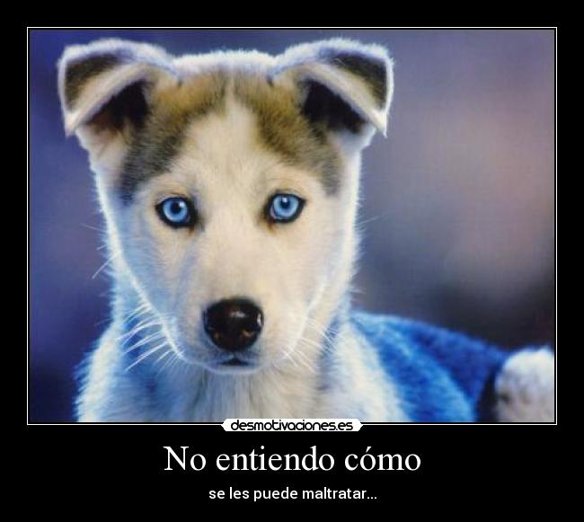 No entiendo cómo - se les puede maltratar...