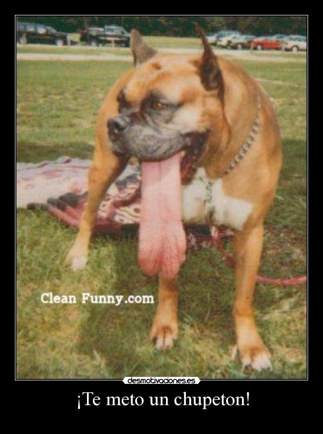 ¡Te meto un chupeton! -