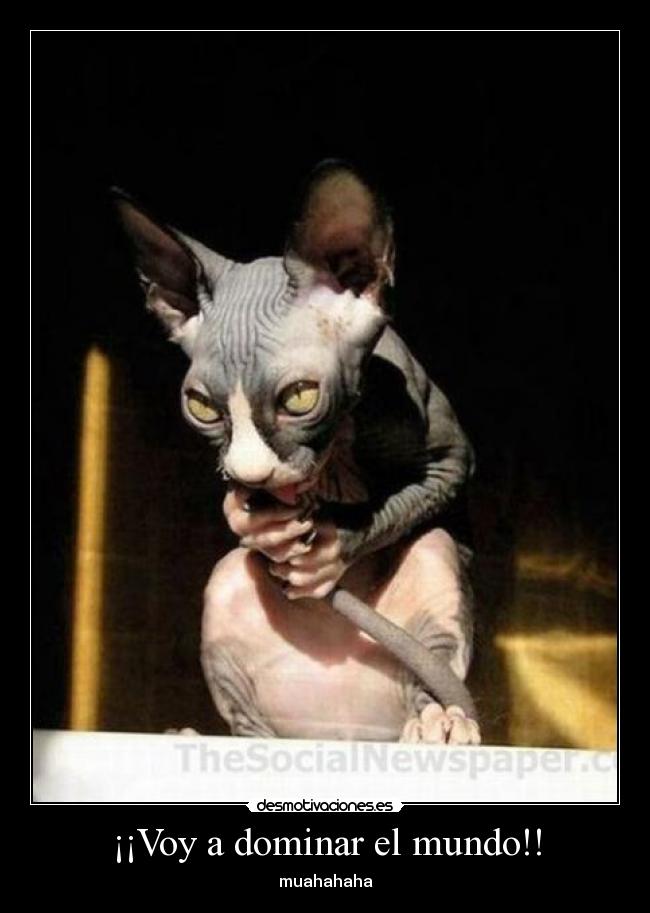 ¡¡Voy a dominar el mundo!! - muahahaha