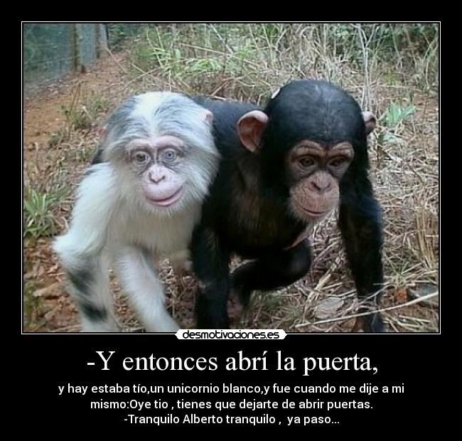 -Y entonces abrí la puerta, - y hay estaba tío,un unicornio blanco,y fue cuando me dije a mi
mismo:Oye tio , tienes que dejarte de abrir puertas.
-Tranquilo Alberto tranquilo , ya paso...