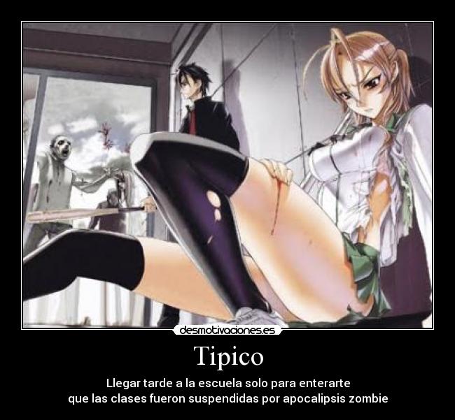 Tipico -