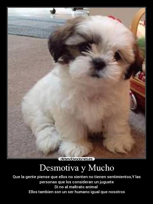 Desmotiva y Mucho - Que la gente piense que ellos no sienten no tienen sentimientos,Y las
personas que los consideran un juguete
Di no al maltrato animal
Ellos tambien son un ser humano igual que nosotros