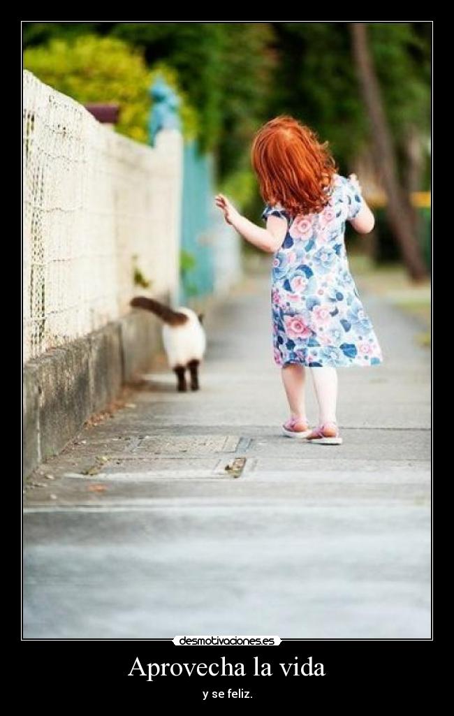 Aprovecha la vida -