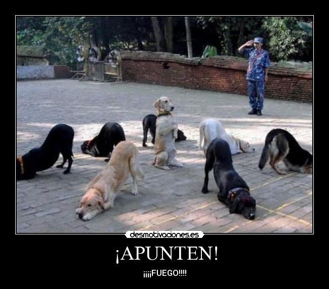 ¡APUNTEN! - 