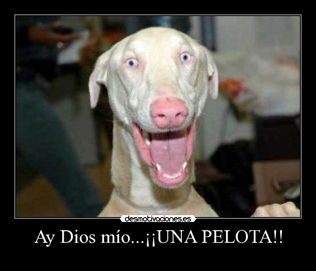 Ay Dios mío...¡¡UNA PELOTA!! -