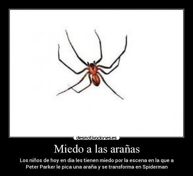 Miedo a las arañas -