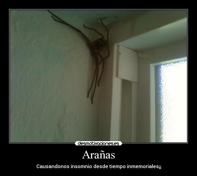 Arañas -
