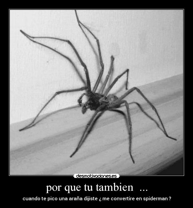 por que tu tambien  ... - cuando te pico una araña dijiste ¿ me convertire en spiderman ?