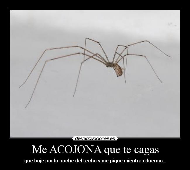 Me ACOJONA que te cagas -