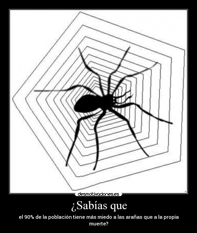 ¿Sabías que - el 90% de la población tiene más miedo a las arañas que a la propia muerte?