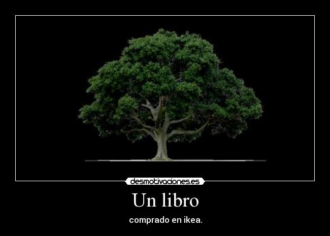 Un libro - 