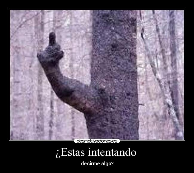 ¿Estas intentando  - 