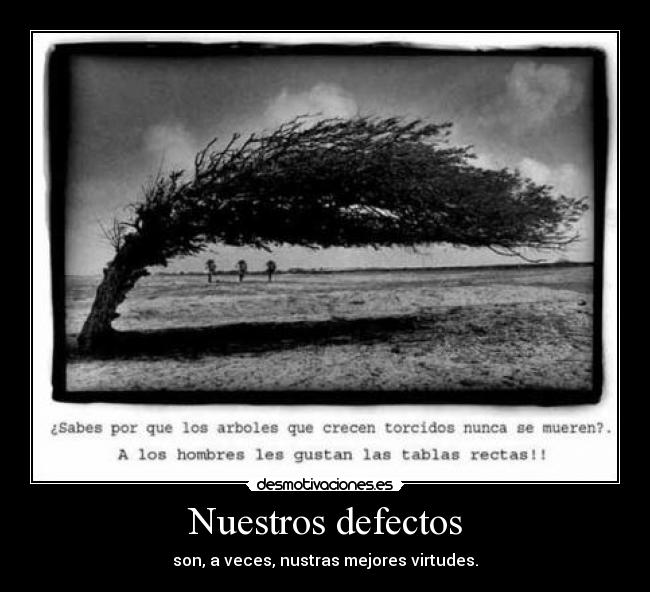 carteles defectos desmotivaciones