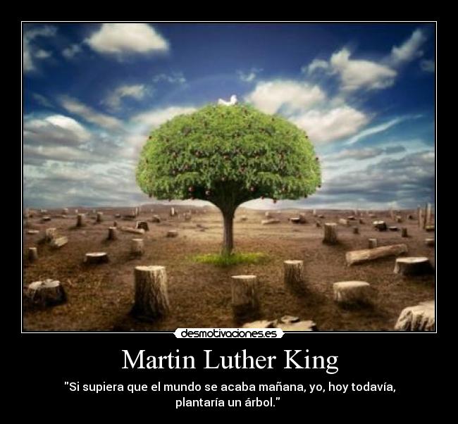 Martin Luther King - Si supiera que el mundo se acaba mañana, yo, hoy todavía, plantaría un árbol.