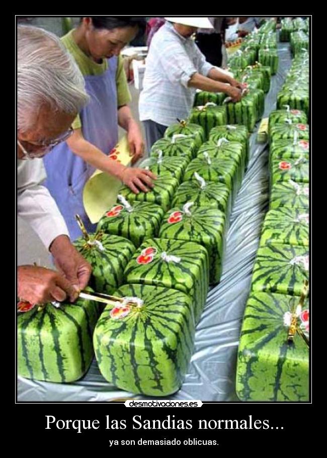 Porque las Sandias normales... - 