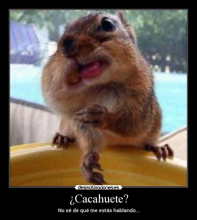 ¿Cacahuete? - No sé de qué me estás hablando...
