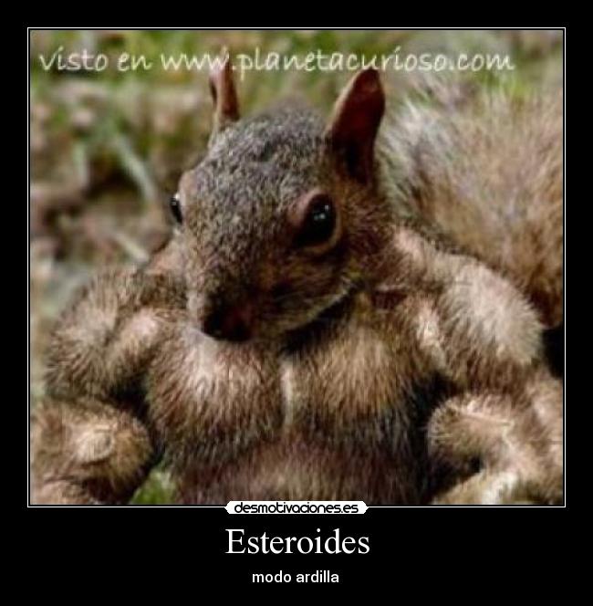 Esteroides -