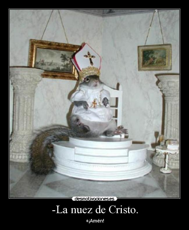 -La nuez de Cristo. -