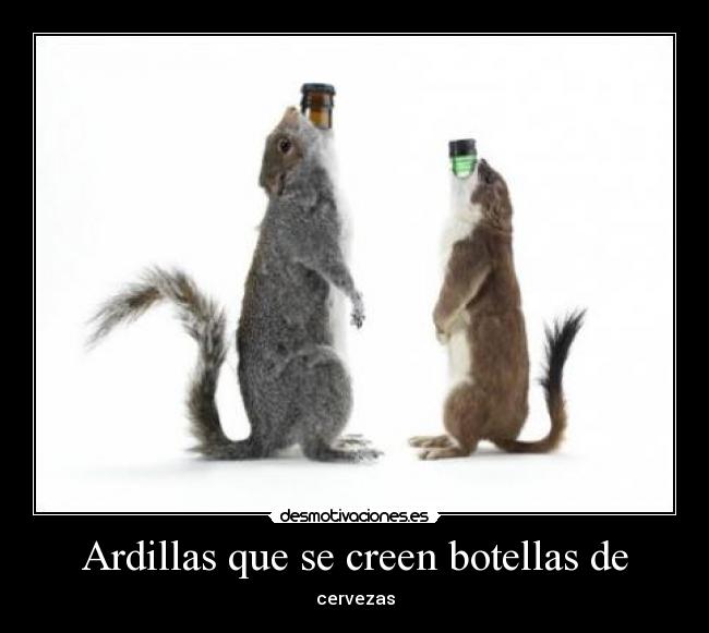 Ardillas que se creen botellas de - cervezas