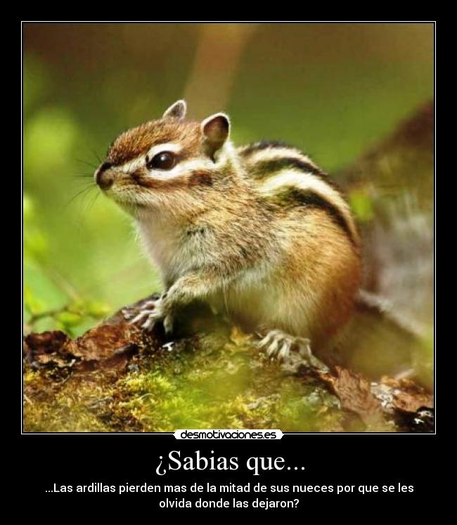 ¿Sabias que... -