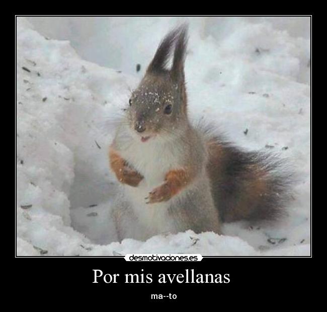Por mis avellanas -