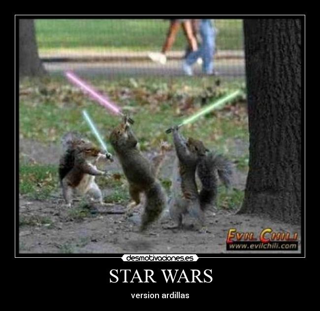 STAR WARS - version ardillas