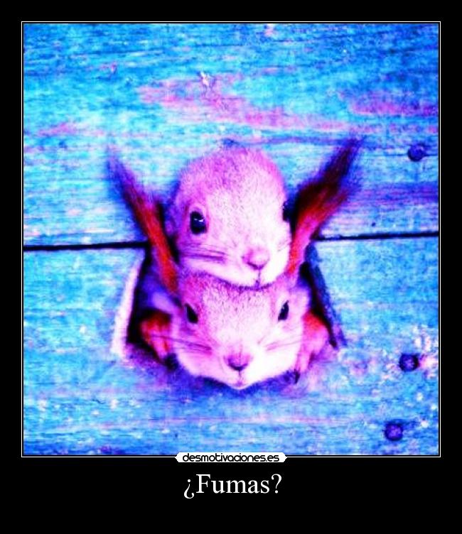 ¿Fumas? -