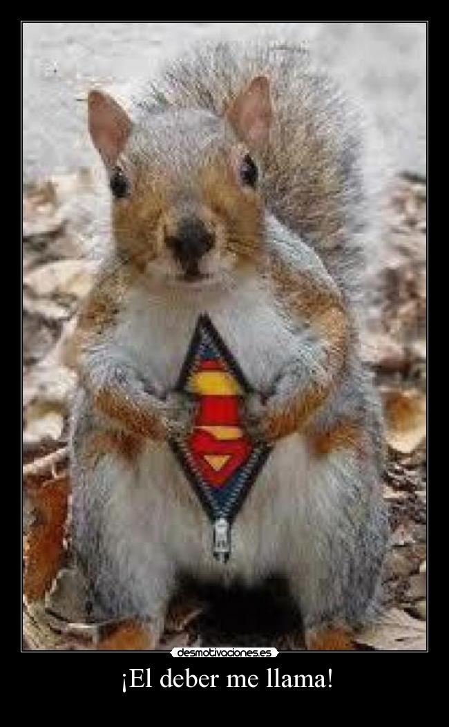 ¡El deber me llama! - 