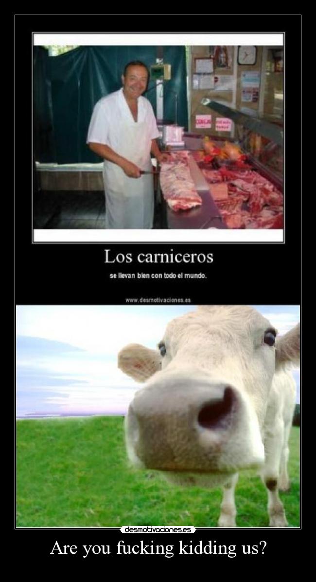 Are you fucking kidding us? -