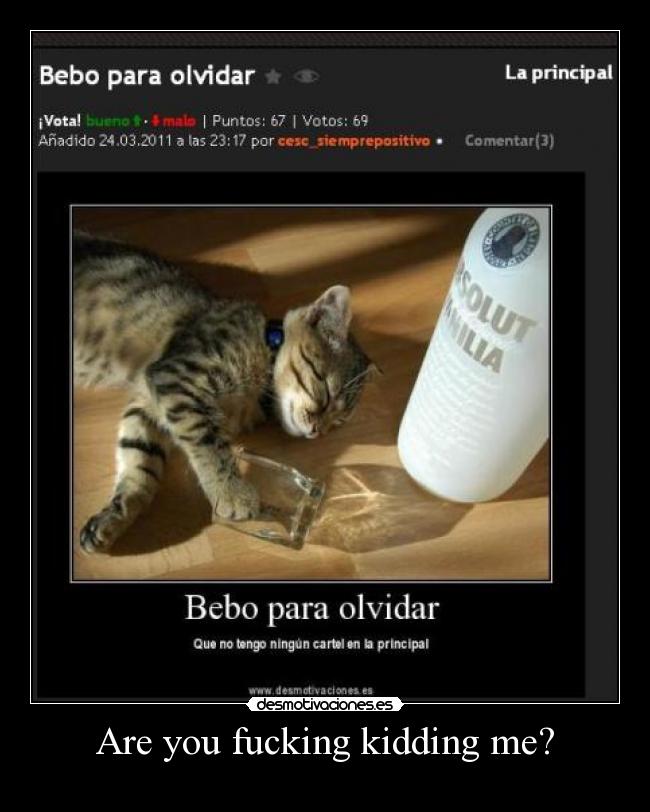 Are you fucking kidding me? - 