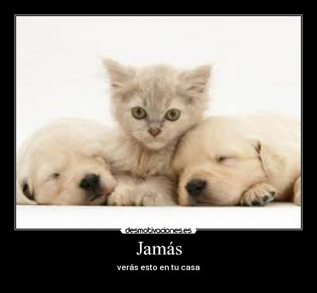 Jamás - 