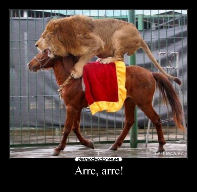 Arre, arre! - 