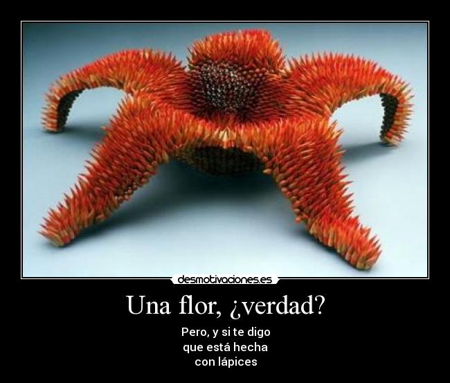 carteles flor desmotivaciones